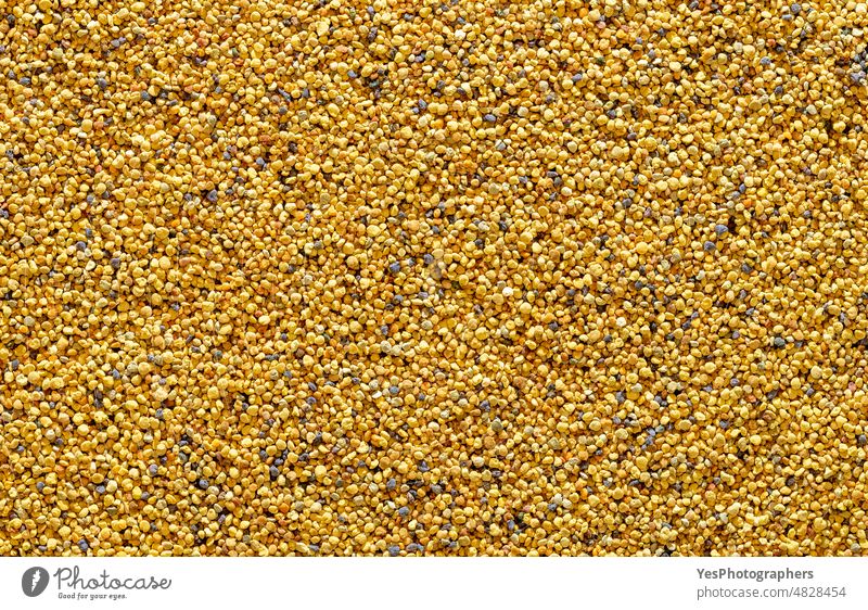 Bienenpollenkörner, Ansicht von oben. Gelber Hintergrund mit Pollenkugeln. abstrakt antimikrobiell Antioxidans Bienenzucht Bälle Brot hell Nahaufnahme Farbe