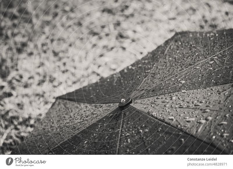 Aufgespannter, liegender Regenschirm mit Regentropfen. Schwarzweißaufnahme nass Wassertropfen schlechtes Wetter Tropfen Nahaufnahme Menschenleer kalt trüb grau