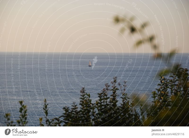 Ausblick auf das Mittelmeer - ein Segelboot in der Ferne Meer Wasser Ferien & Urlaub & Reisen Sommer Himmel Horizont Außenaufnahme Tag Italien Kalabrien