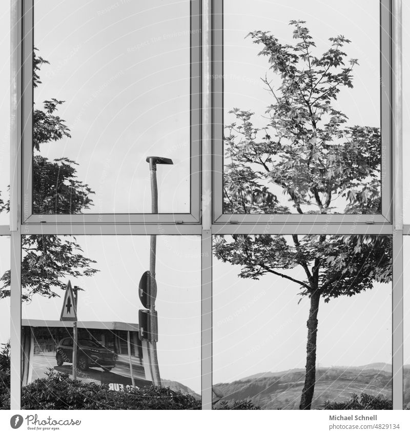 Spieglung eines Bürofensters Fenster Fensterscheibe Spiegelung Spiegelungen Reflexion & Spiegelung Glas Haus Scheibe Glasscheibe Architektur Gebäude Fassade