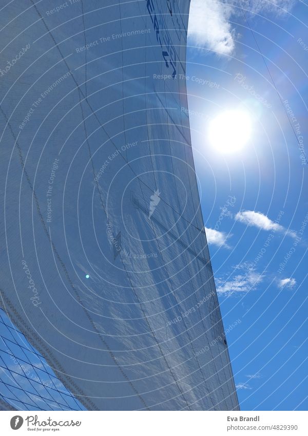 gesetztes Segel mit blauen Himmel und strahlender Sonne Segeltuch Wölkchen Wind Windkraft Licht weiß Segeln Segelboot Wasser Freiheit Abenteuer Ferien Erholung