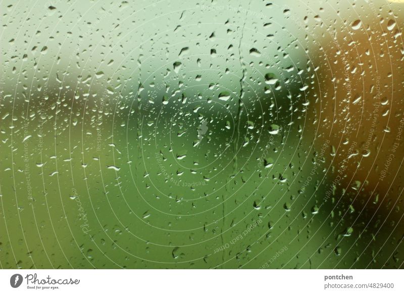 Regentropfen auf einer Fensterscheibe vor grünem Hintergrund. Regen ist gut für die Natur regentropfen Grün fenster fensterscheibe nass natur bewässerung