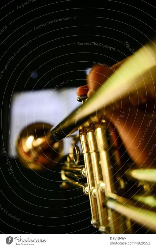 musizieren - Trompete spielen Musiker golden elegant Musikinstrument Konzert Jazz Klang Orchester greifen Hände