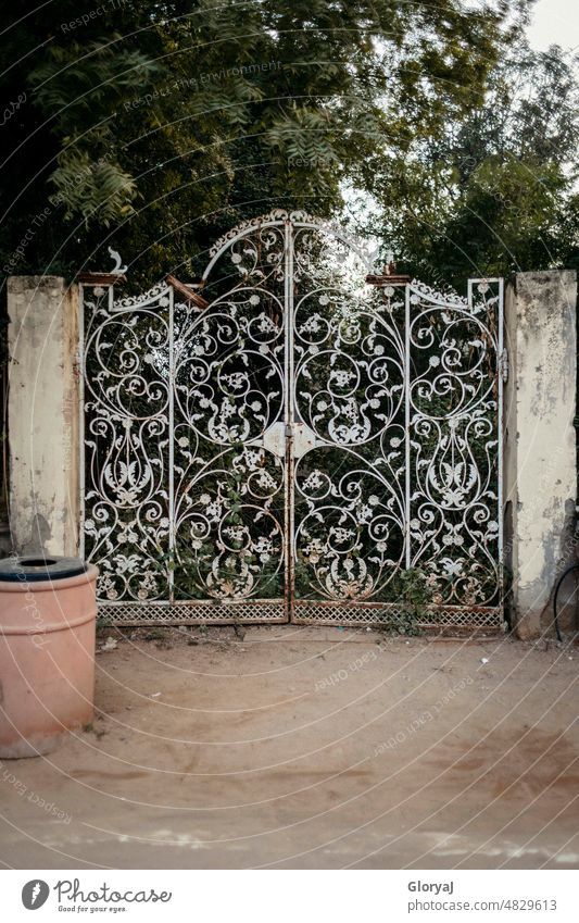 Ein Tor zu einer anderen Welt Gate Durchgang geschlossen florales Muster Eingang Ausgang Eingangstür alt Eingangstor Menschenleer Strukturen & Formen