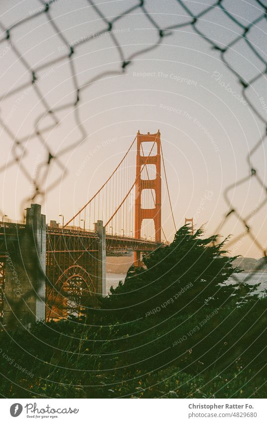 Die Golden Gate Bridge im Sonnenuntergang auf 35mm Film. San Francisco, California. Sonnenlicht Filmlook Tourismus Wahrzeichen Dämmerung Licht warm