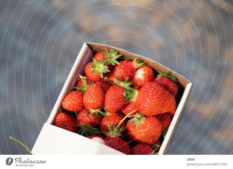 Ein Korb voller Erdbeeren / Endlich Frühling! Ernte Frucht Sommer frisch lecker Gesunde Ernährung Außenaufnahme Früchte Obst Scheinfrucht selbstpflücken