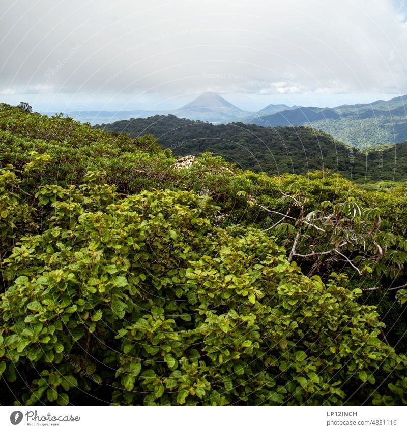 CR III. Nebelwald in Costa Rica mit blick auf den Vulkan Arenal Urlaub Tourismus Wald Naturschutz Nationalpark Bäume wandern monteverde Erholung ausblick