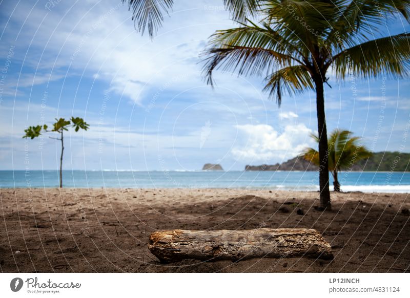 CR I. Strand in Costa Rica Palmen Wasser Meer Urlaub Ferien & Urlaub & Reisen Paradies Pazifik Schatten Erholung Mittelamerika Sand Sandstrand Sommerurlaub