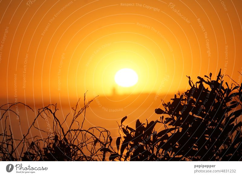 Sonnenuntergang Sonnenuntergangshimmel Sonnenuntergangsstimmung Sonnenuntergangslandschaft Dämmerung Abenddämmerung Sonnenlicht Himmel Stimmung gelb orange