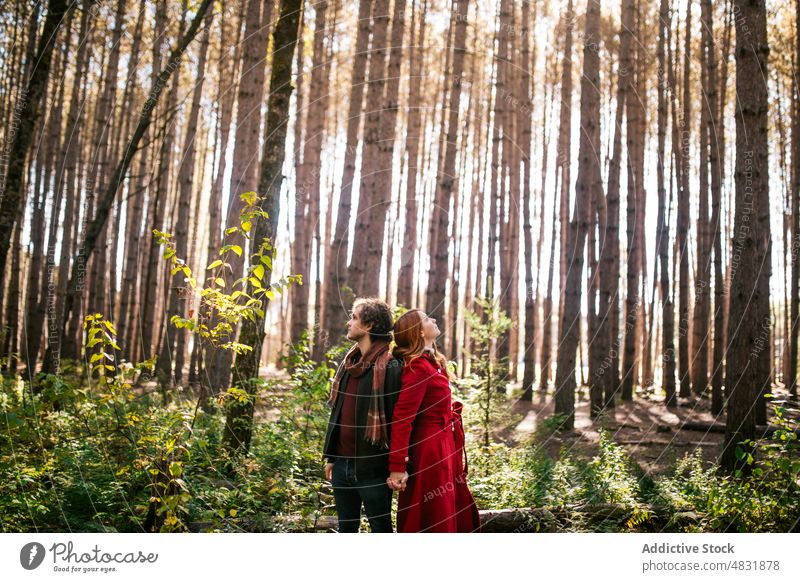 Junges Paar hält sich im Herbstwald in Kanada an den Händen Wald Reisender Abenteuer Saison erkunden Händchenhalten Spaziergang Weg Wälder Urlaub Natur