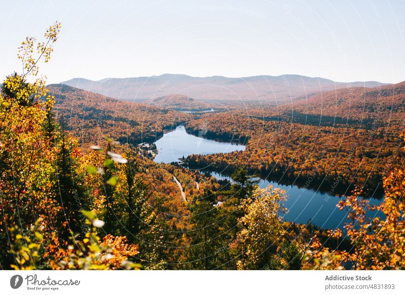 See im Herbstwald in Kanada nadelhaltig Wald Hochland Landschaft Windstille Wasser malerisch Wälder atemberaubend Teich Baum idyllisch Natur Umwelt Hügel