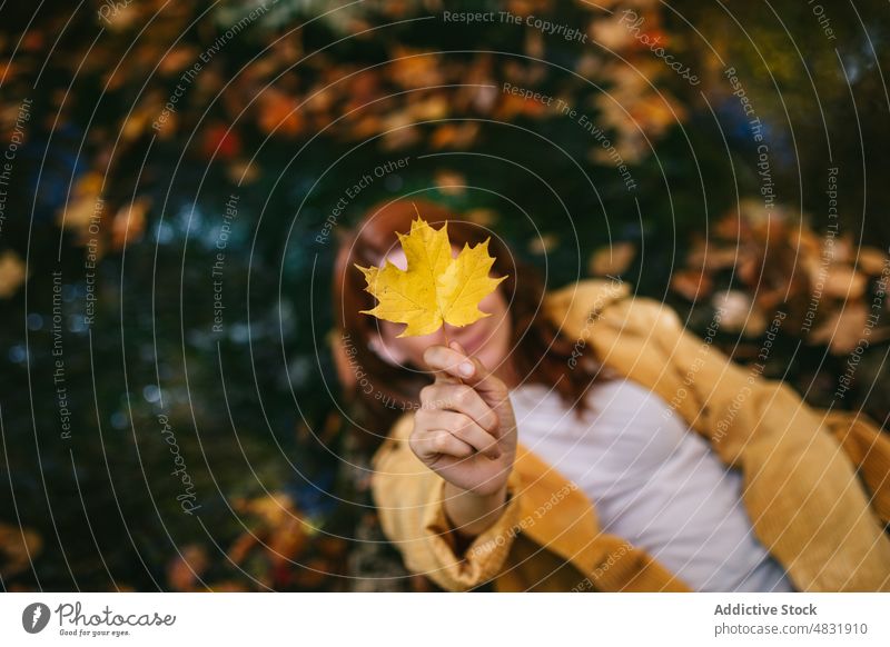 Anonyme Frau zeigt trockenes Ahornblatt im Park Blatt Herbst sorgenfrei trocknen Laubwerk Natur fallen genießen orange Spaß zeigen Pflanze getrocknet Oktober