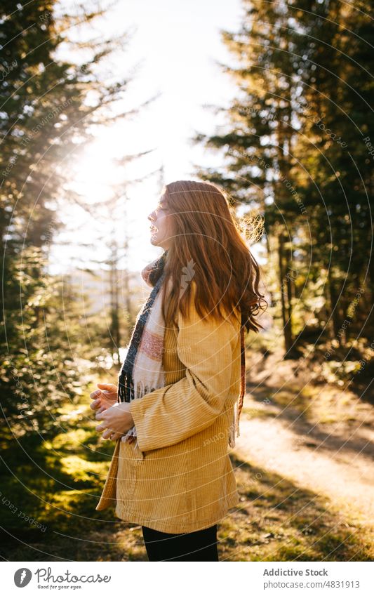 Nachdenkliche Dame während eines Ausflugs bei Sonnenuntergang im Wald Frau Herbst Tourist nachdenklich Rotschopf Ahorn reisen Natur erkunden Blatt jung