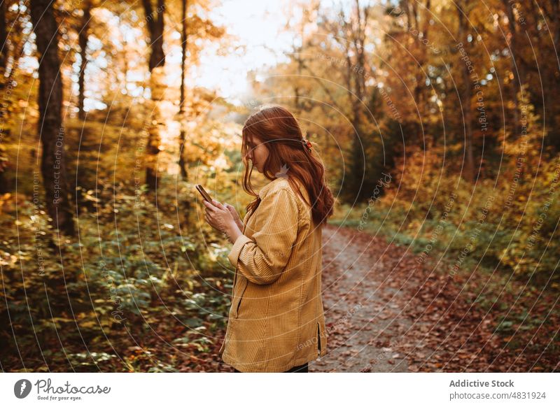 Stehende Frau, die im Herbstwald auf ihrem Handy surft Wald Baum Smartphone Oberbekleidung Mobile positiv Telefon Natur Wanderung stehen Browsen Apparatur