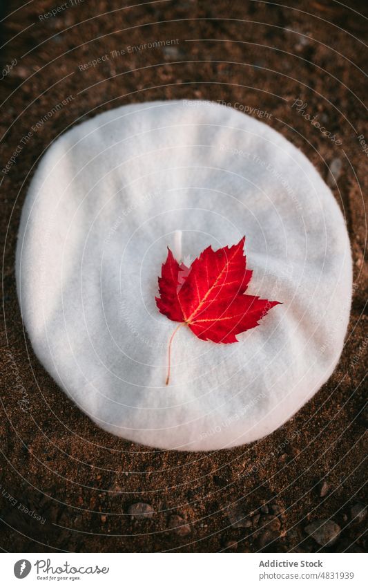 Rotes Blatt auf weißem Barett am Sandstrand Ahorn Herbst Baskenmütze rot Farbe Kanada Fahne Konzept Natur Stil fallen Saison Pflanze Laubwerk Botanik Flora
