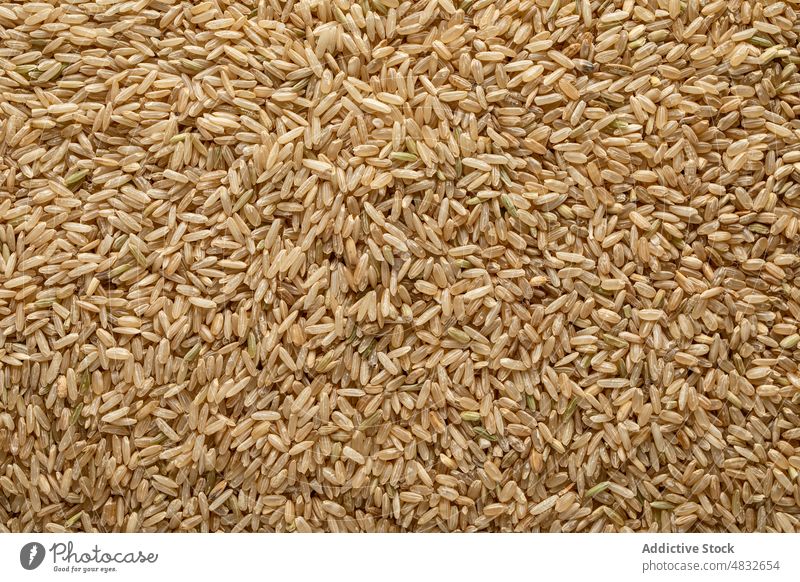 Roher Vollkornreis Reis Korn Lebensmittel verschiedene sortiert Spitze Ackerbau getrocknet natürlich Bestandteil organisch trocknen Gesundheit ungekocht Samen