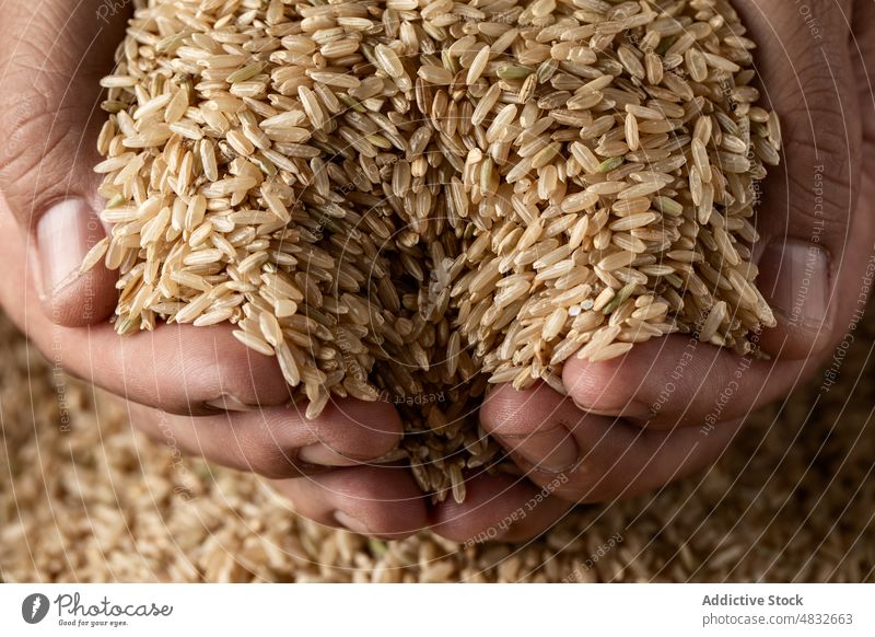 Roher Vollkornreis Reis Korn Lebensmittel verschiedene sortiert Hände Beteiligung Körperteil Ackerbau getrocknet natürlich Bestandteil organisch trocknen