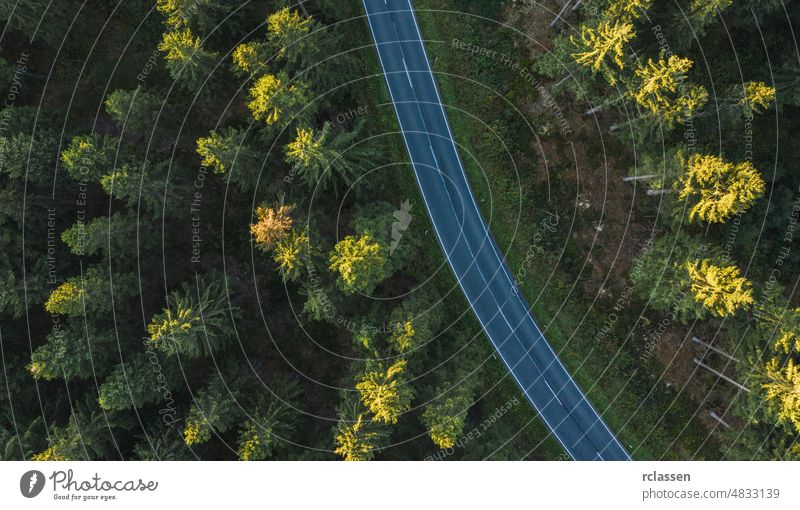 Gebogene Straße aus der Luft von einer Drohne Wald Antenne Dröhnen Ansicht Auge Kurve Landschaft Natur kurvenreich Abenteuer grün Vogelauge PKW Asphalt Gras