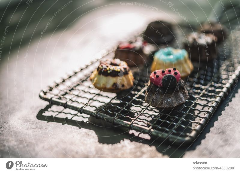 Bunte Keksvariationen auf einem alten Kühlregal Macaron Bäckerei Kuchen Raster Hintergrund Dessert Gastronomie Metall-Gitterrost altehrwürdig Pastell