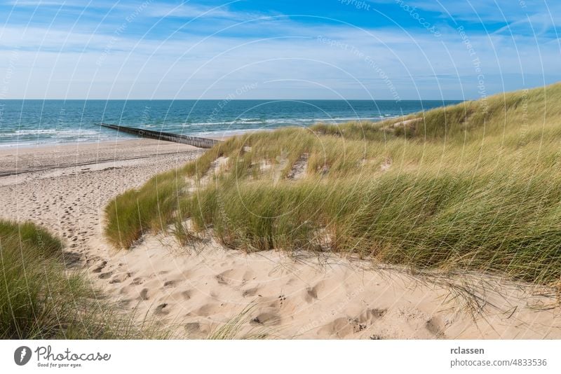 Schöne Sanddünen mit Meer an der Nordseeküste in Renesse, Zeeland, Holland domburg Niederlande holländisch Europa Sylt MEER Strand Feiertage Gezeiten Wasser