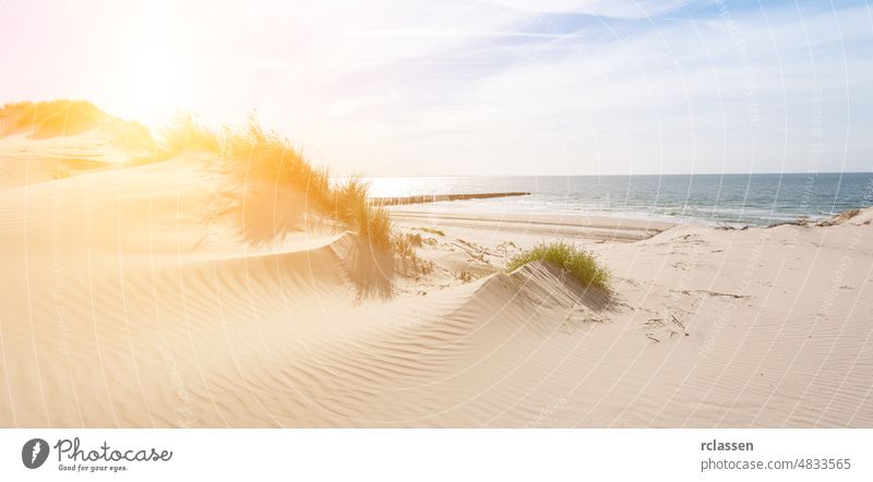 Schöne Sanddünen an der Nordseeküste in Renesse, Zeeland, Holland domburg Niederlande holländisch Europa Sylt MEER Strand Feiertage Gezeiten Wasser