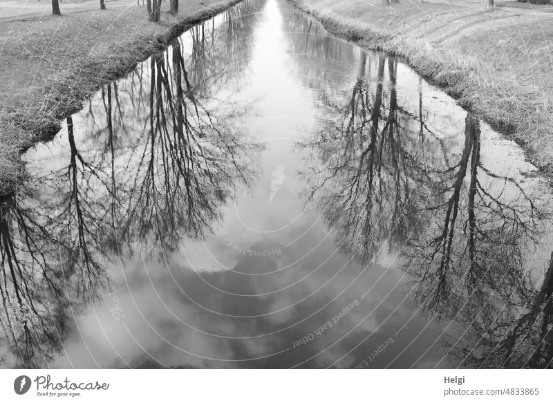 verkehrte Welt - Spiegelung von Bäumen, Himmel und Wolken in einem kleinen Kanal Wasser Wasserstraße Baum Reflexion & Spiegelung Frühling kahl monochrom
