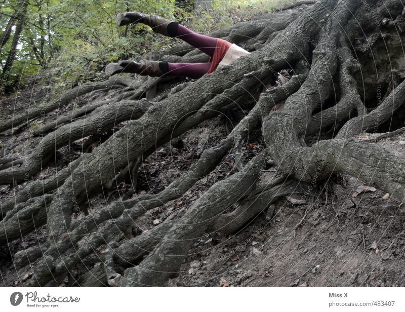 Arbeitsunfall ;-) wandern Mensch feminin Frau Erwachsene 1 Baum Wald Urwald Hügel Felsen dunkel gruselig Stimmung Angst Todesangst gefährlich Hilfsbereitschaft