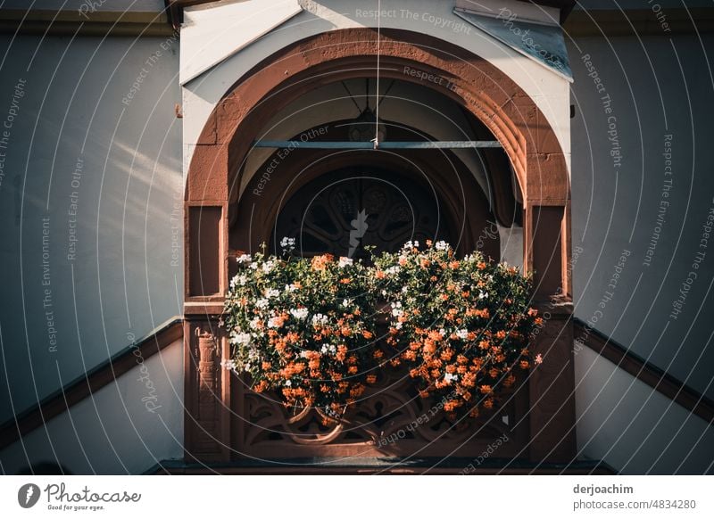 Ganz zauberhaft und Sommerlich zeigt sich der Eingangsbereich des Fränkischen Rathauses. Blumen und Pflanzen Blüte Außenaufnahme Nahaufnahme Farbfoto Natur