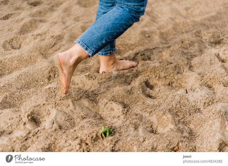 Barfuß im Sand Strand nass Regen Beine Fuß Zehen Sommer Jeanshose Frau gehen Fußspur Mensch laufen Spuren Erholung Spaziergang Sandstrand Küste Meer fuesse