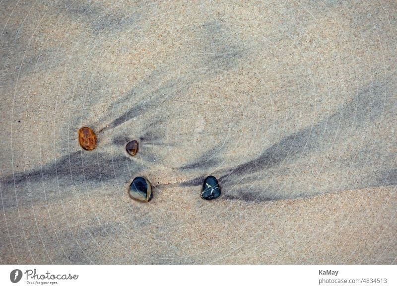 Vier Steine auf dem nassen Sandstrand der dänischen Nordseeküste Strand angespült Spülsaum Küste angeschwemmt Treibgut vier mehrere Dänemark Skandinavien