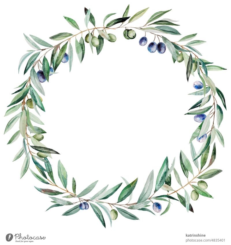 Aquarell Kranz aus Olivenzweigen mit blauen und grünen Früchten und Blättern Illustration gemacht botanisch Dekoration & Verzierung Element Laubwerk