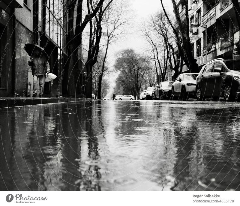 Ein regnerischer Tag auf der Straße Hintergrundbeleuchtung Herbst Fußgänger schwarz auf weiß Licht Schatten Kontrast reflektierend nass Regenschirm