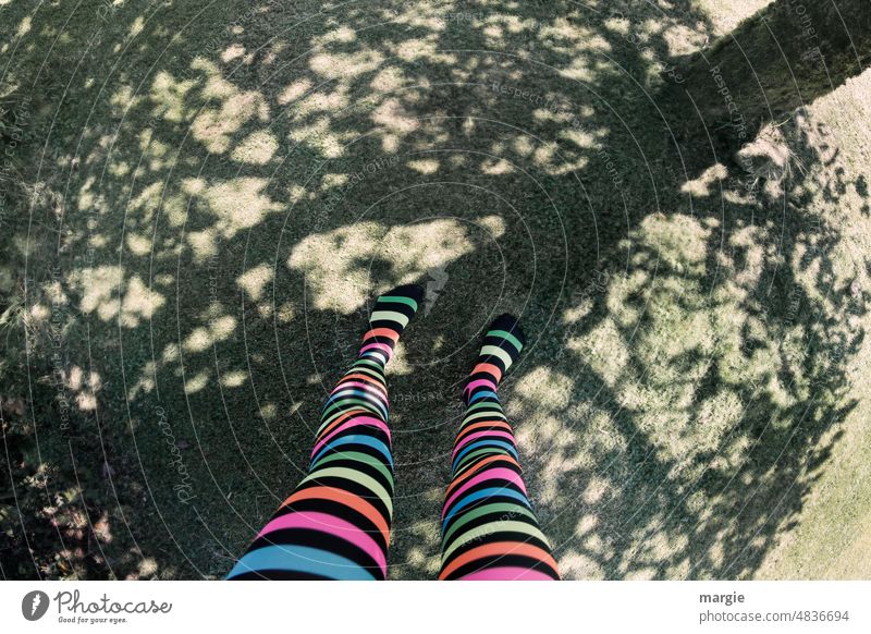 Ein Mädchen mit bunten Ringelstrümpfen steht auf dem Schatten eines Baumes Frau Strümpfe Beine Fuß Strumpfhose geringelte strumpfhose Jugendliche Mensch Umwelt