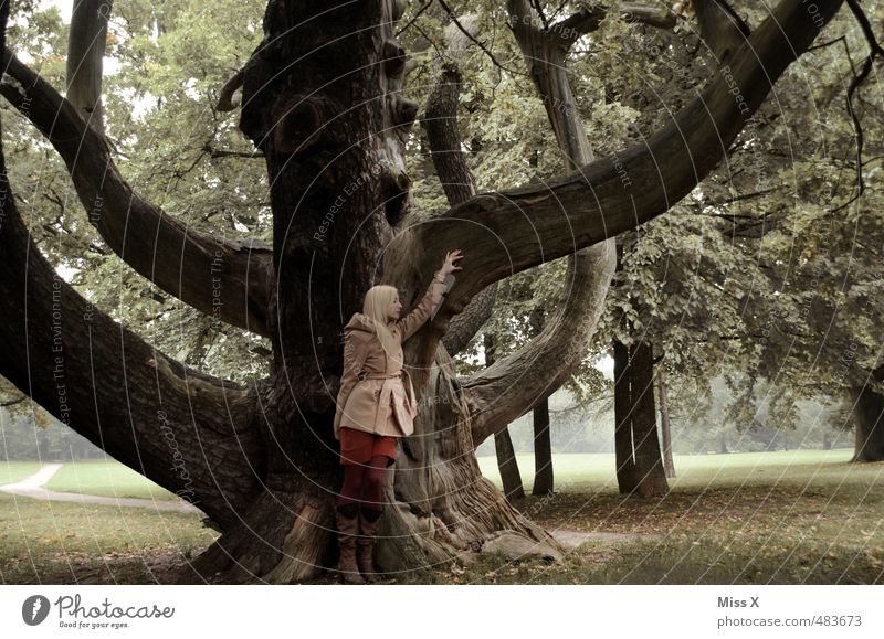 Krake II Mensch feminin Frau Erwachsene 1 18-30 Jahre Jugendliche Natur Baum Park Wald Mantel blond alt gigantisch Gefühle Stimmung Kraft Willensstärke Macht