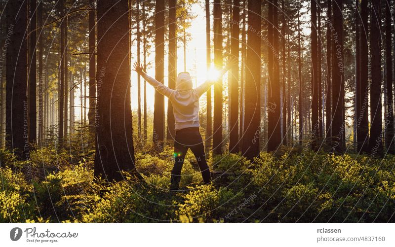 Junger Mann hob die Hände stehen im Wald und genießt die Natur und Sonnenlicht Landschaft Frühling Baum Sommer Nadelholz idyllisch Umwelt Sonnenuntergang