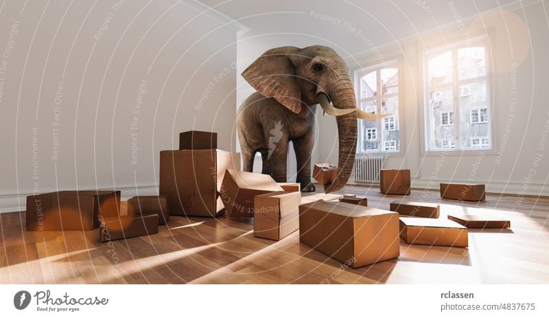 Elefant mit Umzugskartons beim Umzug im Zimmer als lustiges Raumproblemkonzept sich[Akk] bewegen Weiterleitung unterstützen nehmen stark Stärke heimwärts