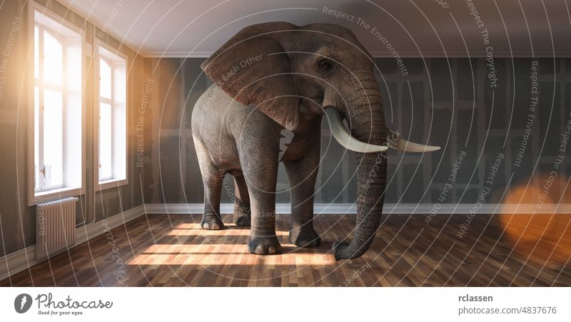 Big Elefant Ruhe in einer Wohnung mit abgeflachten Trockenbauwände als lustige Mangel an Raum und Haustier Konzept Bild Appartement Büro Architektur heimwärts