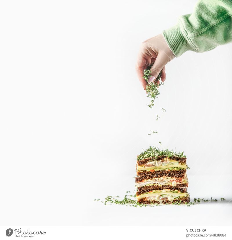 Frau streut mit der Hand frische Kressesprossen über ein geschichtetes Clubsandwich auf weißem Hintergrund Streusel mehrschichtig Club-Sandwich
