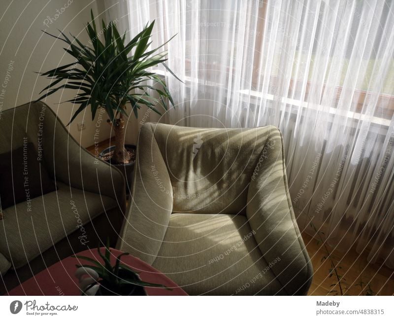 Omas Lieblingssessel in einem Wohnzimmer mit Couch, Grünpflanzen und weißer Gardine in Wettenberg Krofdorf-Gleiberg bei Gießen in Hessen Sessel Sitzen