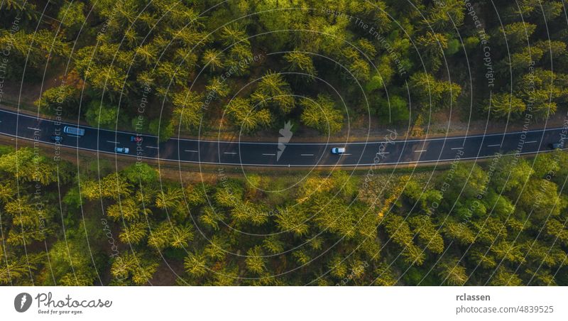 Luftaufnahme von Autos, die auf einer Landstraße durch den Wald fahren. Straße Antenne Dröhnen Ansicht Auge Kurve rot Landschaft Natur Abenteuer grün PKW