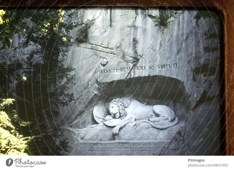 Die prächtige Skulptur des Löwen von Luzern in der Schweiz Europa Bildhauerei Kunst schön berühmt Tourismus Denkmal historisch Bertel Thorvaldsen Architektur