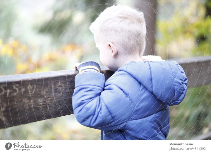 blonde Junge mit blauer Jacke in der Natur suchen draußen Wald spielen entdecken zuschauen beobachten Bildung Kind Kindergarten Bub klein jung ruhig Kleinkind