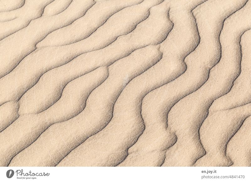 Strukturen im Sand Strukturen & Formen Wüste Muster Stranddüne Sandstrand Menschenleer Düne Sandverwehung sandig