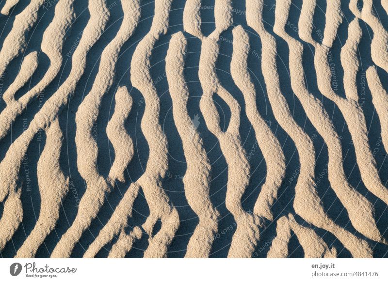 Strukturen im Sand - Licht und Schatten Strukturen & Formen Wüste Muster Stranddüne Sandstrand Menschenleer Düne Sandverwehung sandig Schattenspiele