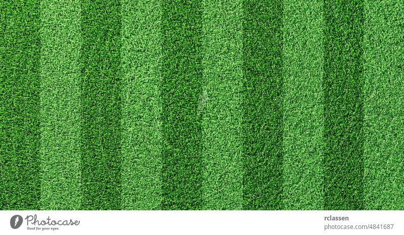 Detaillierte grüne Fußballfeld Gras Rasen Textur von oben Feld Stadion Boden Transparente Tasse Welt Hintergrund Spiel Nahaufnahme Fußballplatz Garten Kopfball