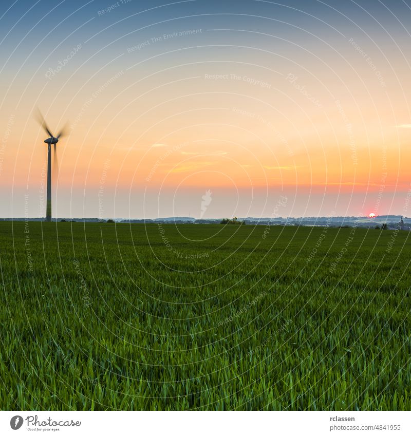 Windrädchen auf einem Feld vor einem Sonnenuntergang in der Abenddämmerung alternativ Alternative Energie Biostrom blau billiger Strom Klimawandel Klimaschutz