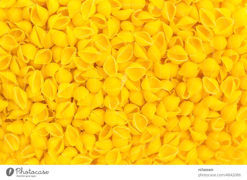 Conchiglie Nudelschalen Hintergrund Textur Diät Ernährung essen Hartweizen Italienisch Kohlenhydrate Lebensmittel Nudeln Spätzle Vegetarier roh Teigwaren