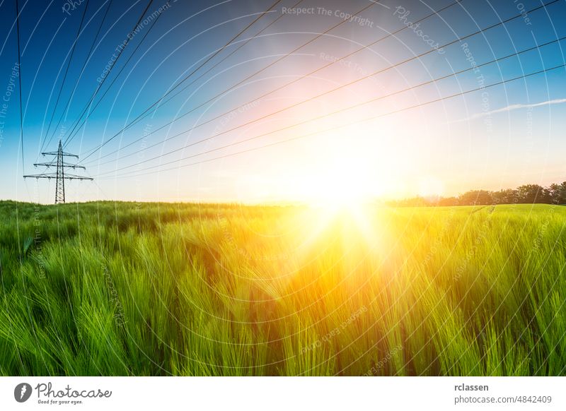Sonne strahlt explosiv über Weizenfeld Abenddämmerung Ackerland Landbau Bauernhof blau Energie essen warm Feld Licht Himmel Gegenlicht Hochspannungsleitung