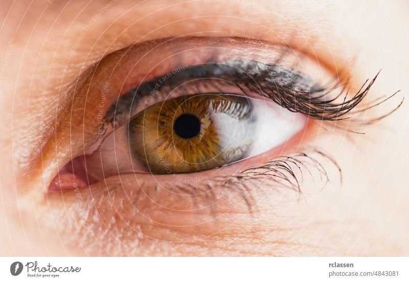 Makroaufnahme eines weiblichen Auges Fokus Optiker denken. Augapfel Regenbogenhaut Aussehen Wimpern medizinisch Objektiv schön Augenlicht Pupille zuschauend