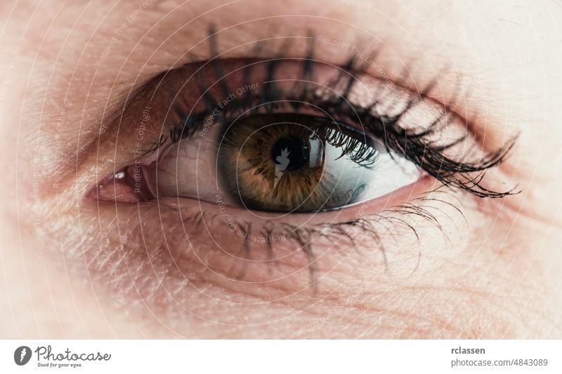 Makroaufnahme des menschlichen Auges Fokus Optiker Blickfang Regenbogenhaut Aussehen Wimpern medizinisch Objektiv schön Augenlicht Pupille zuschauend Augenbild